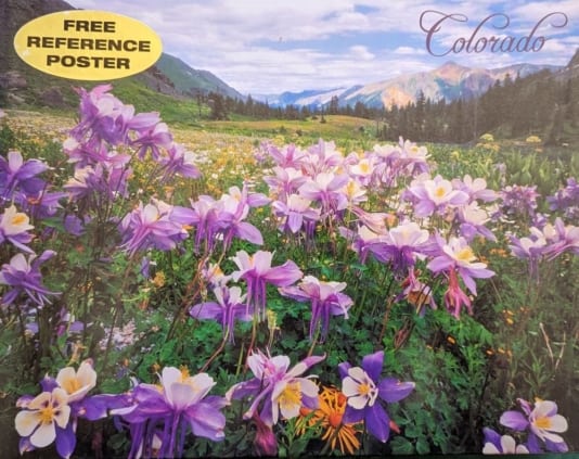 Jigsaw puzzle with a scenic view of a Blue Columbine flowerfield